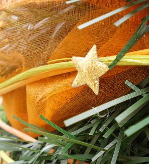 v�no�n� strome�ek na v�noce